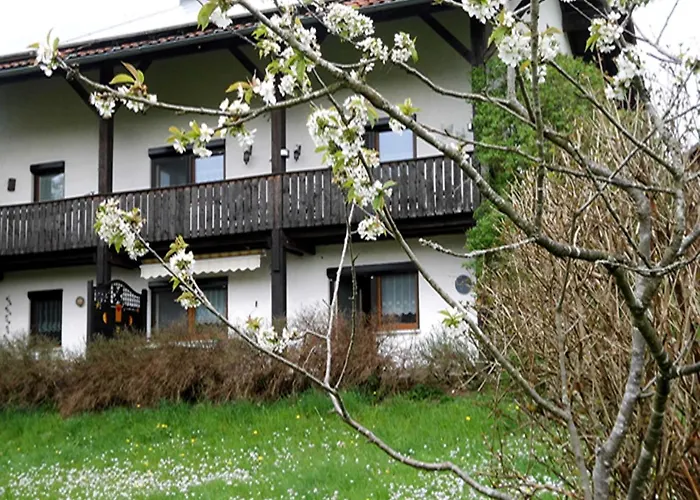Kraus