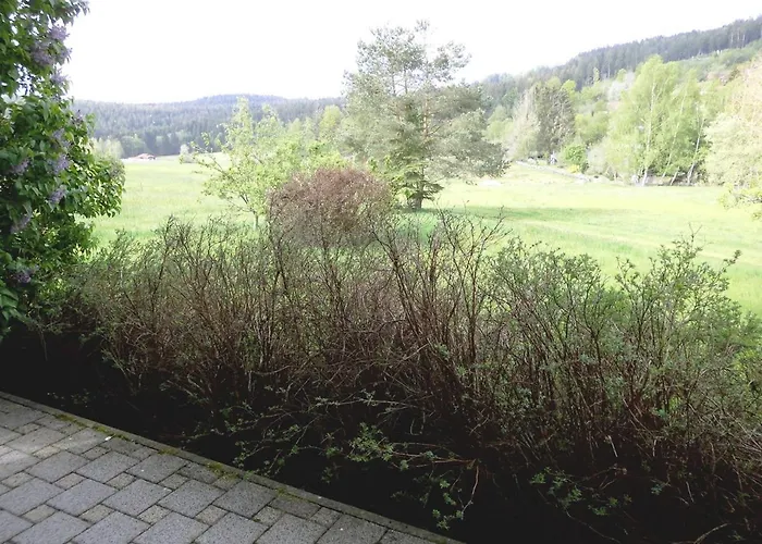 Kraus